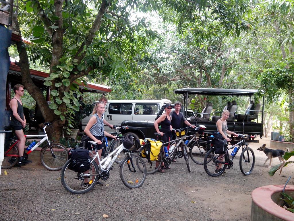 Llt Tourist Inn And Safari Jeep Wilpattu Nationalpark Exterior foto