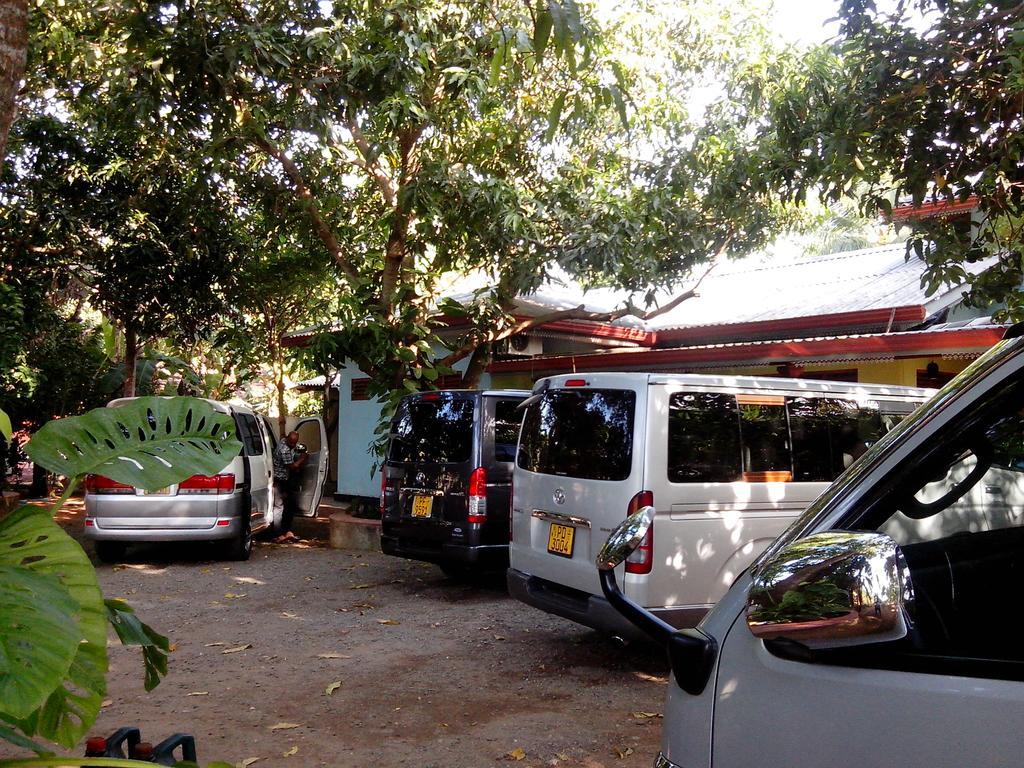 Llt Tourist Inn And Safari Jeep Wilpattu Nationalpark Exterior foto