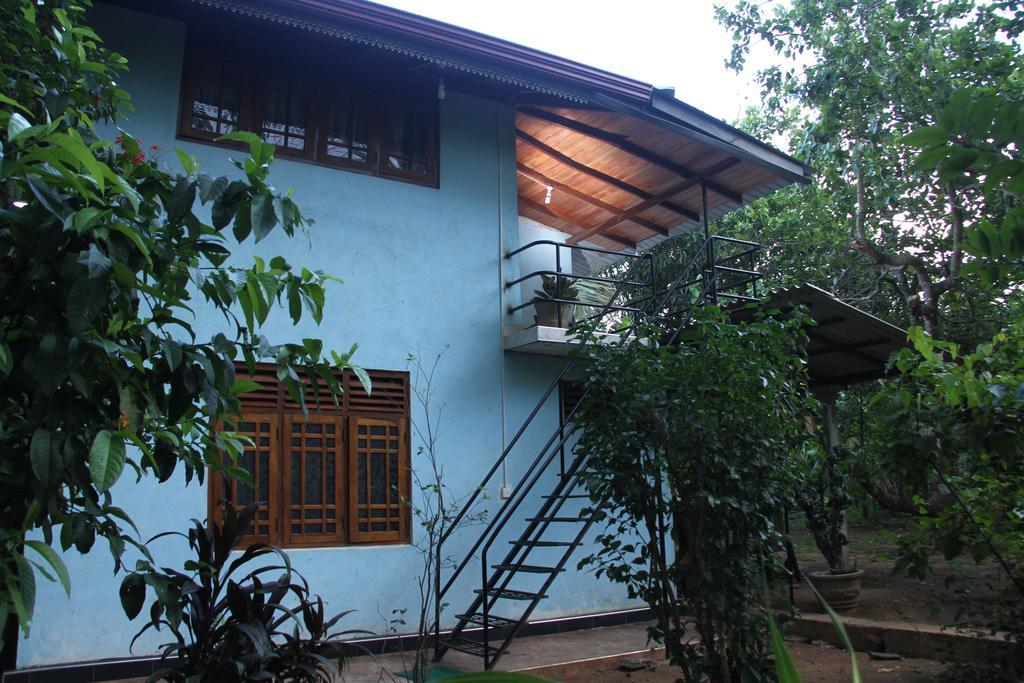 Llt Tourist Inn And Safari Jeep Wilpattu Nationalpark Exterior foto