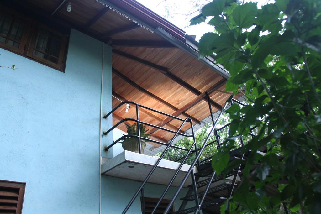Llt Tourist Inn And Safari Jeep Wilpattu Nationalpark Exterior foto