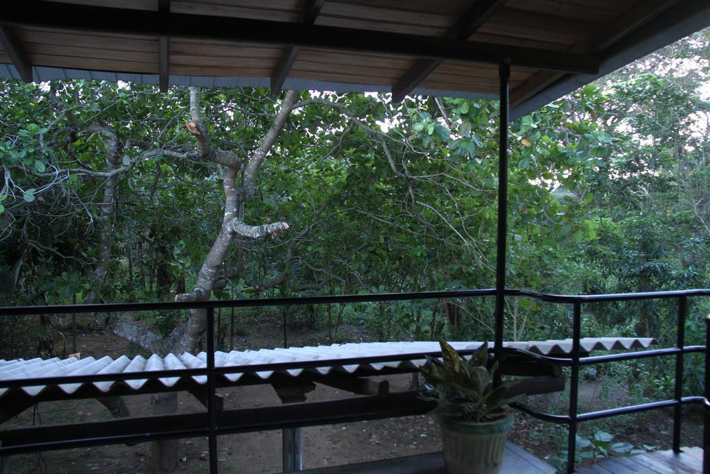 Llt Tourist Inn And Safari Jeep Wilpattu Nationalpark Exterior foto