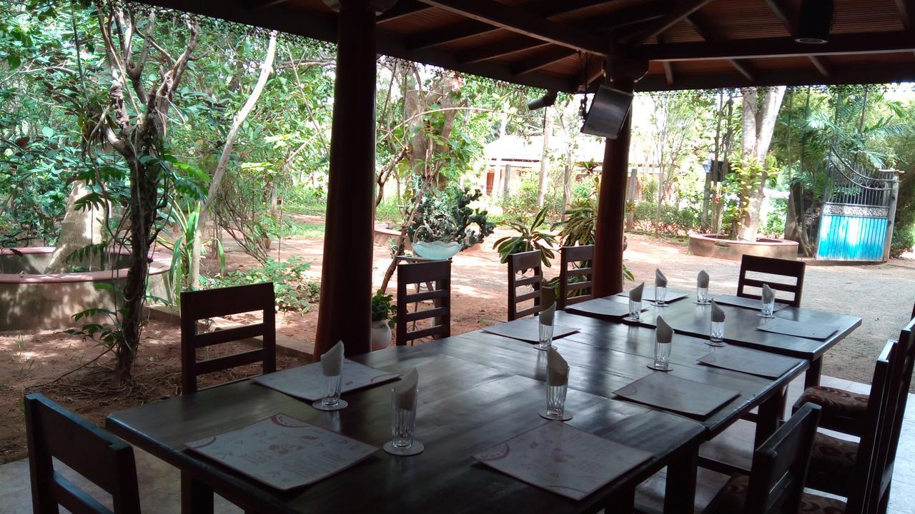 Llt Tourist Inn And Safari Jeep Wilpattu Nationalpark Exterior foto